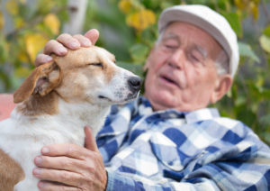 Die hundegestützte Therapie verbessert die soziale Interaktion von Menschen mit Demenz.