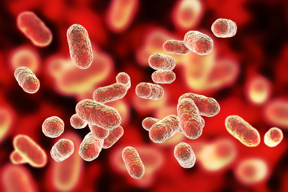 Im Mausmodell kann das Bakterium P. gingivalis zu charakteristischen Pathologien von Alzheimer-Demenz führen.